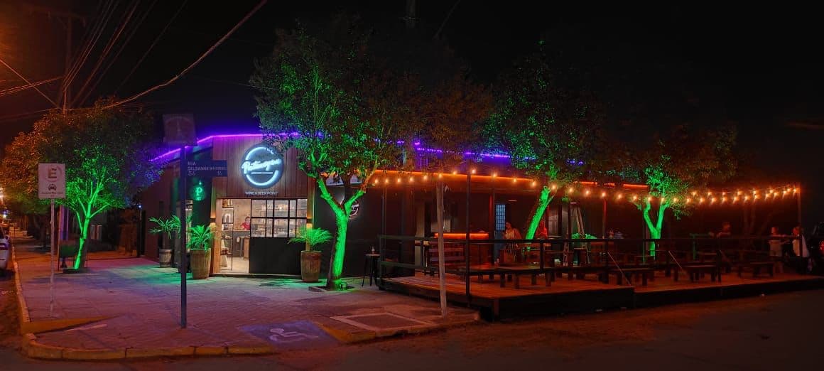 Bar Patagónico — Neón y Paisajismo